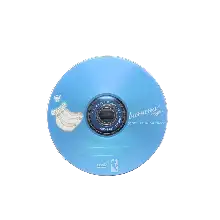 RISHENG BLANK DVD 16X 4.5GB